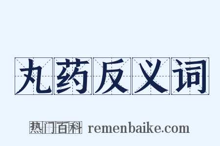丸药反义词是什么意思的图片